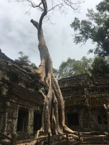 11 - Angkor Wat Tour - Kambodscha Reisebericht