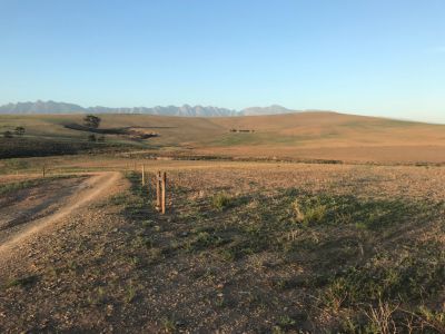 Stellenbosch nach Swellendam - Südafrika Rundreise
