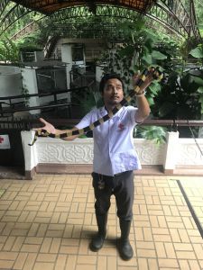 Rot Kreuz Schlangenfarm Bangkok