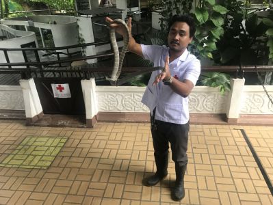 Rot Kreuz Schlangenfarm - Bangkok Tipps