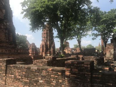 Thailand Reisebericht - Wat Mahathat Ayutthaya