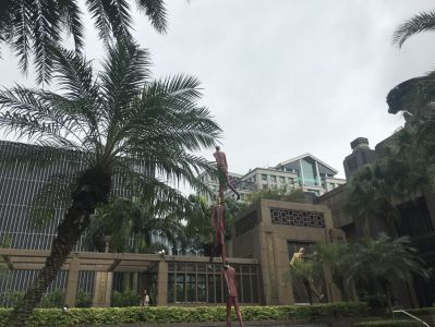Singapur zu Fuß - Parkview Square