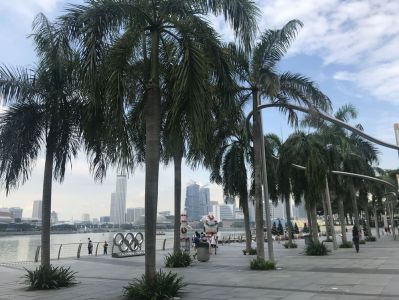 Singapur zu Fuß - Olympic Walk