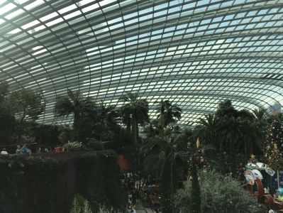 Gardens by the Bay - Flower Dome Singapur