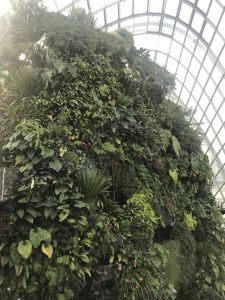 Gardens by the Bay - Cloud Forest - Singapur in 2 Tagen