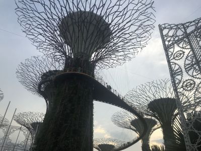 Gardens by the Bay - Supertree Grove - Singapur Sehenswürdigkeiten