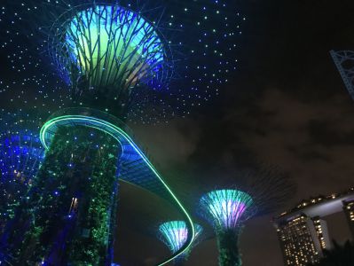Supertree Grove - Gardens by the Bay - Lichtshow