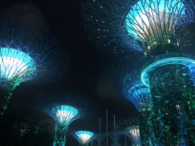 Supertree Grove - Gardens by the Bay - Singapur in 2 Tagen