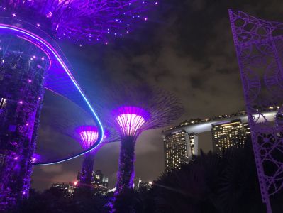Supertree Grove - Gardens by the Bay - Singapur im November