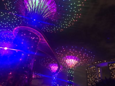 Gardens by the Bay - Lichtshow - Singapur in 2 Tagen