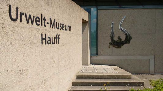 Urwelt-Museum Hauff in Holzmaden 3
