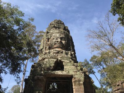 Kambodscha Reisebericht - Ta Prohm
