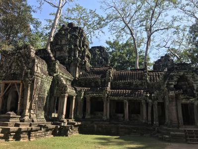 Kambodscha Backpacker Reisebericht - Ta Prohm
