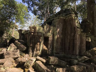 In Kambodscha reisen - Ta Prohm