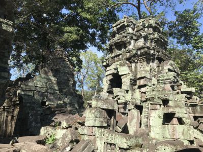 Ta Prohm - Kambodscha Backpacker Reisebericht