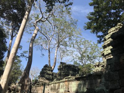 Ta Prohm - Kambodscha Erfahrungen