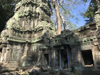 Ta Prohm - Kambodscha - Siem Reap Tipps