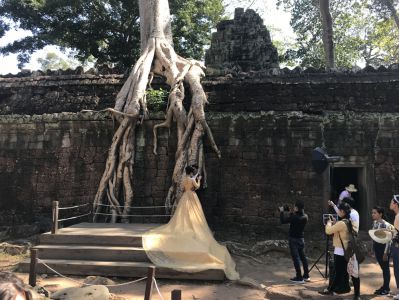 Kambodscha Erfahrungen - Ta Prohm Tempel
