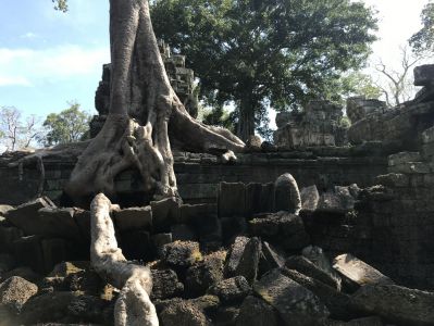 Ta Prohm Tempel - Kambodscha Reisetipps