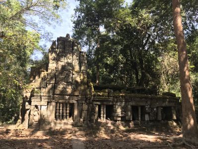 Ta Prohm Tempel - Kambodscha Reiseblog