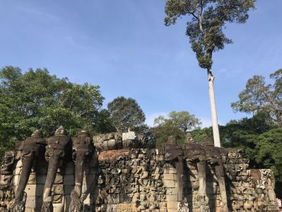 Kambodscha Reisebericht - Terrasse der Elefanten