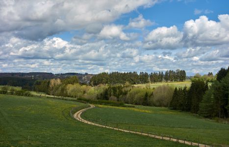 Landschaft am Vennbahnradweg nahe Büllingen / Belgien