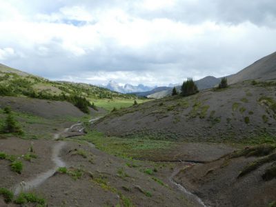 Landschaft im Jasper Nationalpark
