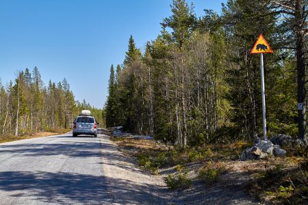Warnschild Bären an einer Straße in Mittelschweden
