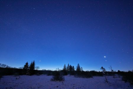 Nachthimmel im Süden des Hohen Venn im Winter