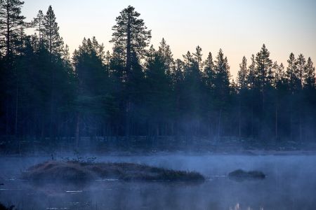 Nebel im Moor - Schweden Reisebericht