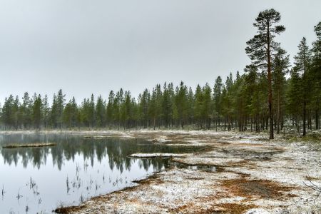 Schneefall an einem Frühlingstag in Mittelschweden 2