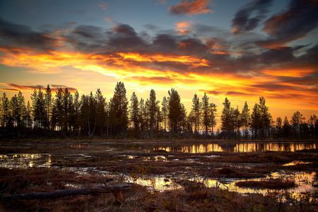 Sonnenaufgang in einem Moor in Dalarna, Schweden